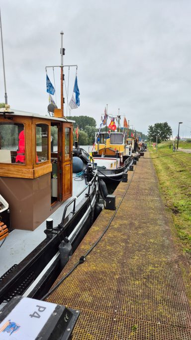 Verschillende boten aangemeerd langs een grasrijke oever onder bewolkte lucht.
